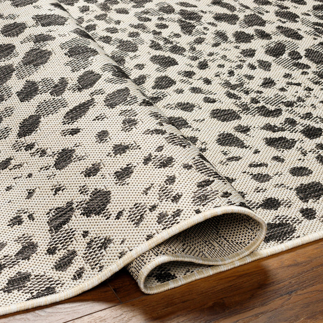 Surya Ravello Rvl-2356 Ivory, Light Beige, Light Gray, Black Rug.