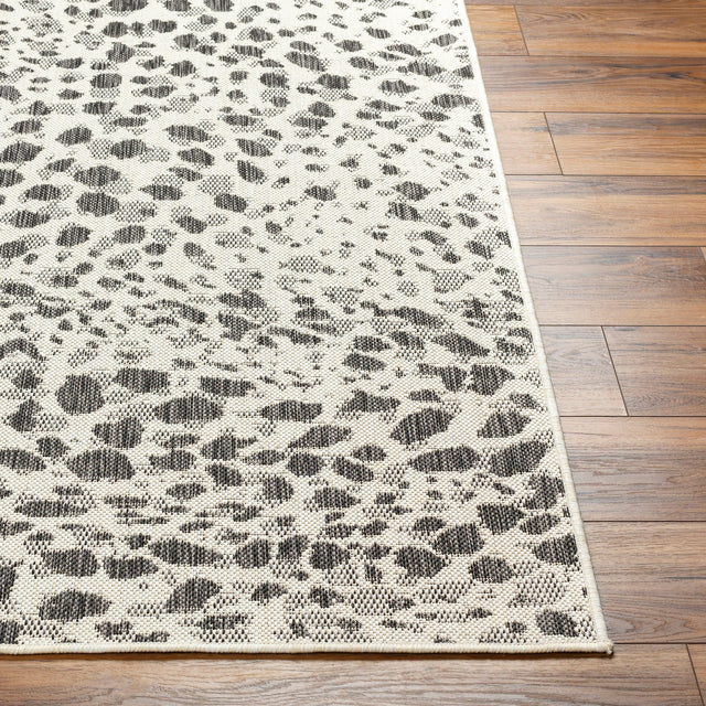 Surya Ravello Rvl-2356 Ivory, Light Beige, Light Gray, Black Rug.