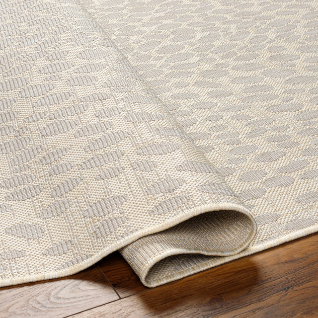 Surya Ravello Rvl-2357 Ivory, Light Beige, Light Gray, Charcoal Rug.