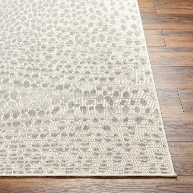 Surya Ravello Rvl-2357 Ivory, Light Beige, Light Gray, Charcoal Rug.