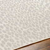 Surya Ravello Rvl-2357 Ivory, Light Beige, Light Gray, Charcoal Rug.
