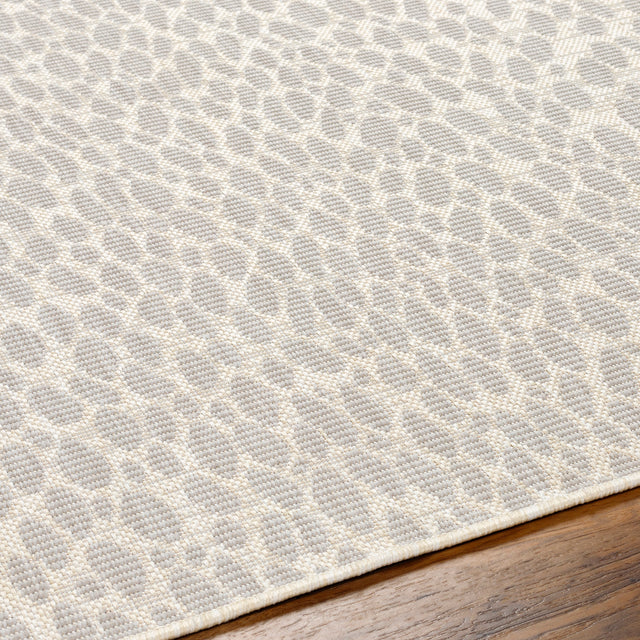 Surya Ravello Rvl-2357 Ivory, Light Beige, Light Gray, Charcoal Rug.