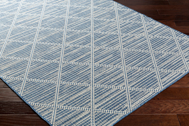 Surya Ravello Rvl-2363 Denim, Dark Blue, Ivory, Light Beige Rug.