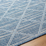 Surya Ravello Rvl-2363 Denim, Dark Blue, Ivory, Light Beige Rug.