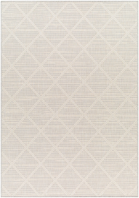 Surya Ravello Rvl-2364 Light Gray, Charcoal, Ivory, Light Beige Rug.