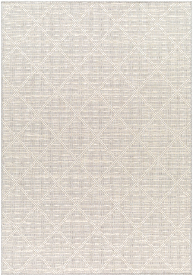 Surya Ravello Rvl-2364 Light Gray, Charcoal, Ivory, Light Beige Rug.