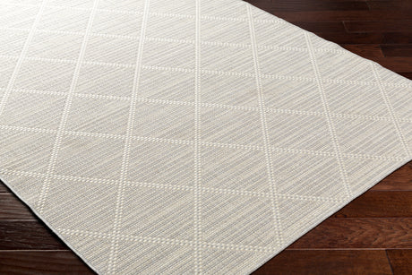 Surya Ravello Rvl-2364 Light Gray, Charcoal, Ivory, Light Beige Rug.