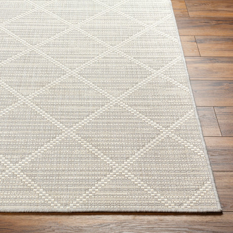 Surya Ravello Rvl-2364 Light Gray, Charcoal, Ivory, Light Beige Rug.