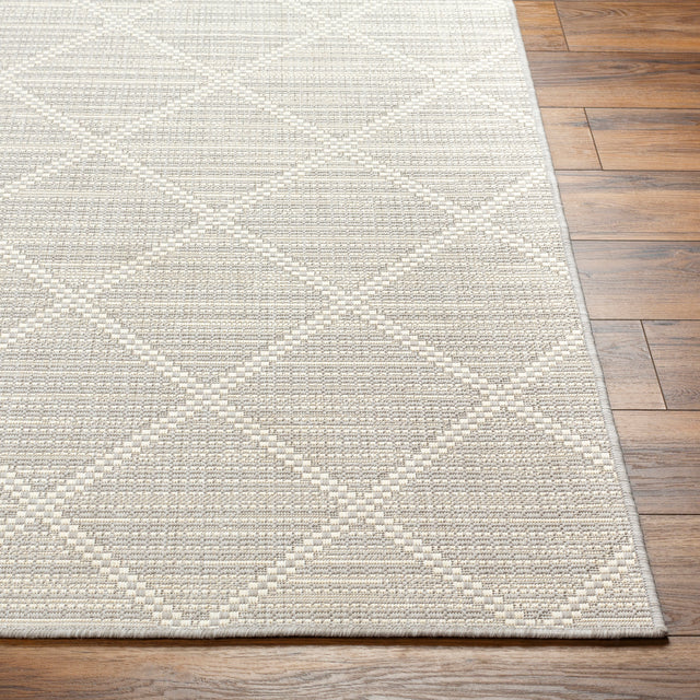 Surya Ravello Rvl-2364 Light Gray, Charcoal, Ivory, Light Beige Rug.