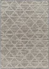 Surya Ravello Rvl-2365 Light Gray, Black, Ivory, Light Beige Rug.