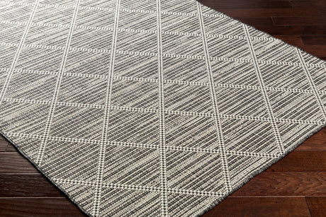 Surya Ravello Rvl-2365 Light Gray, Black, Ivory, Light Beige Rug.