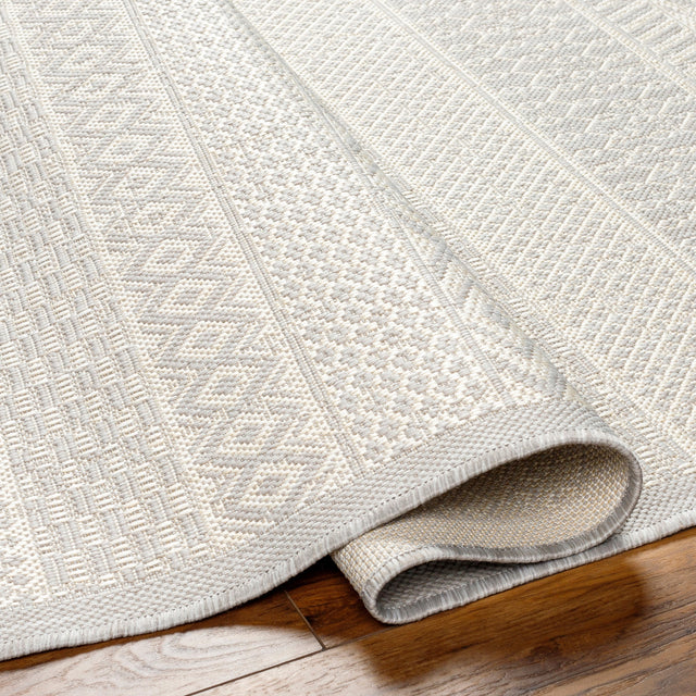 Surya Ravello Rvl-2373 Light Gray, Charcoal, Ivory, Light Beige Rug.