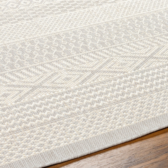 Surya Ravello Rvl-2373 Light Gray, Charcoal, Ivory, Light Beige Rug.