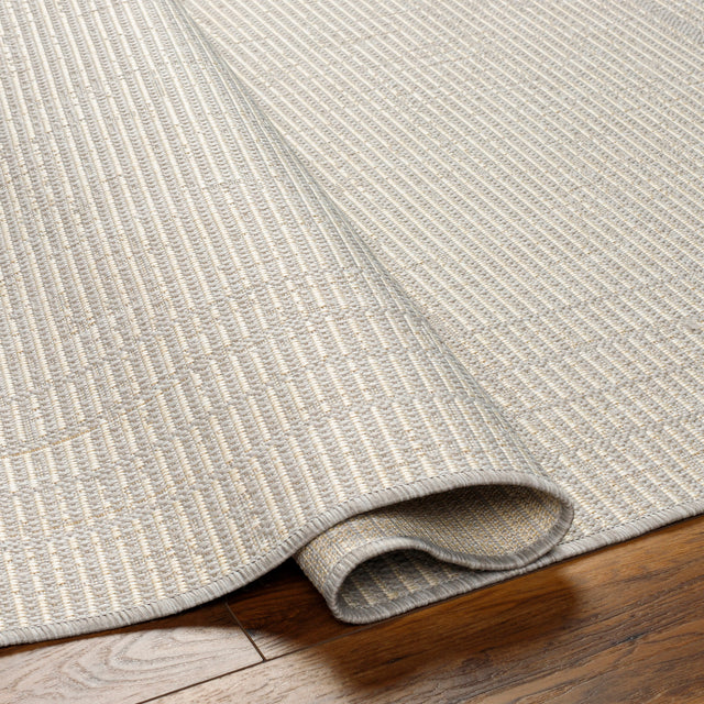 Surya Ravello Rvl-2376 Light Gray, Charcoal, Ivory, Light Beige Rug.