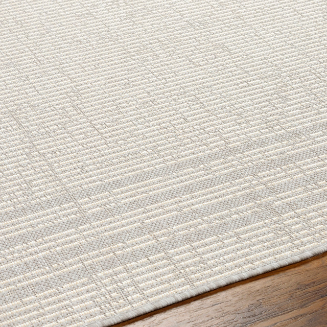 Surya Ravello Rvl-2376 Light Gray, Charcoal, Ivory, Light Beige Rug.