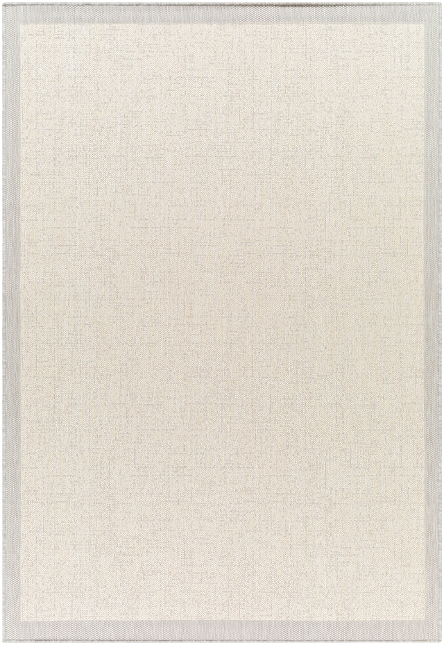 Surya Ravello Rvl-2380 Light Gray, Charcoal, Ivory, Light Beige Rug.