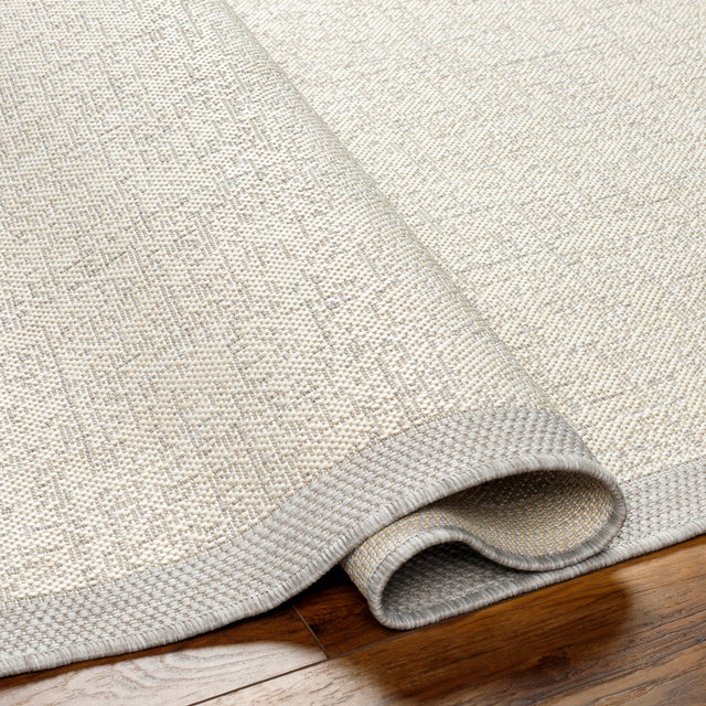 Surya Ravello Rvl-2380 Light Gray, Charcoal, Ivory, Light Beige Rug.