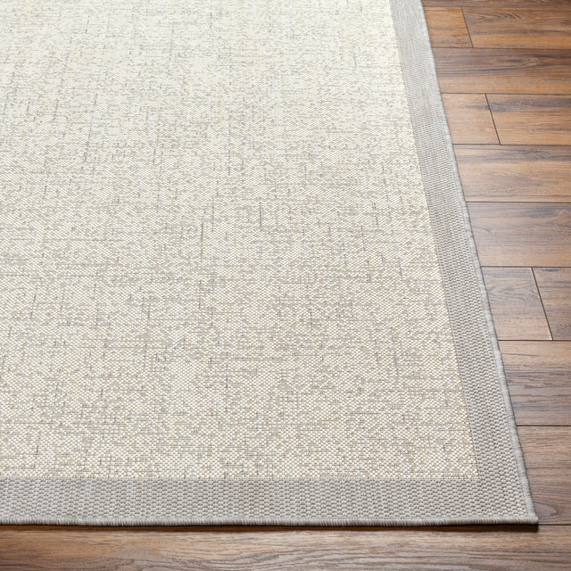 Surya Ravello Rvl-2380 Light Gray, Charcoal, Ivory, Light Beige Rug.