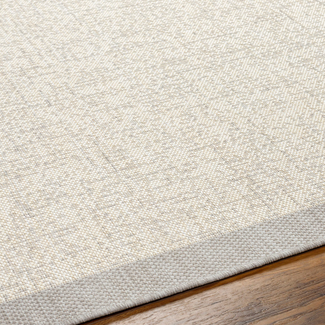 Surya Ravello Rvl-2380 Light Gray, Charcoal, Ivory, Light Beige Rug.