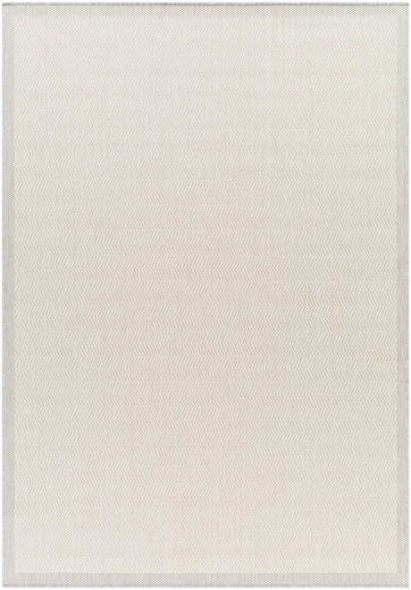 Surya Ravello Rvl-2383 Light Gray, Charcoal, Ivory, Light Beige Rug.