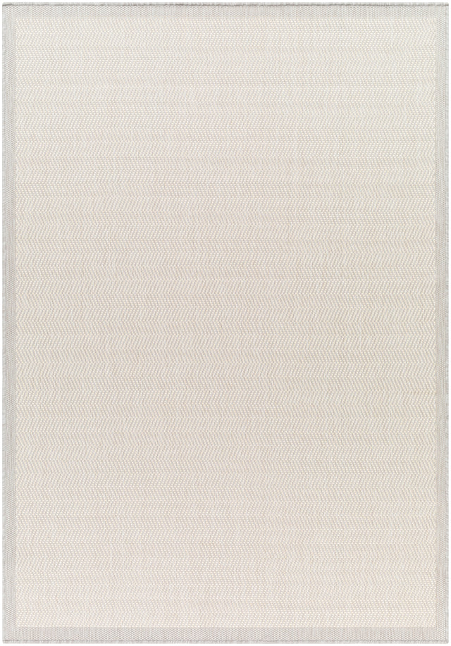 Surya Ravello Rvl-2383 Light Gray, Charcoal, Ivory, Light Beige Rug.