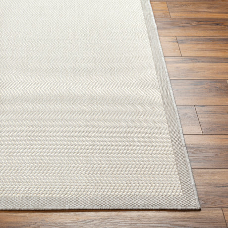 Surya Ravello Rvl-2383 Light Gray, Charcoal, Ivory, Light Beige Rug.