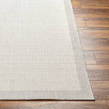 Surya Ravello Rvl-2386 Light Gray, Charcoal, Ivory, Light Beige Rug.