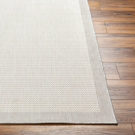 Surya Ravello Rvl-2386 Light Gray, Charcoal, Ivory, Light Beige Rug.