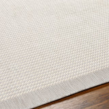 Surya Ravello Rvl-2386 Light Gray, Charcoal, Ivory, Light Beige Rug.
