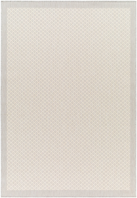 Surya Ravello Rvl-2388 Light Gray, Charcoal, Ivory, Light Beige Rug.