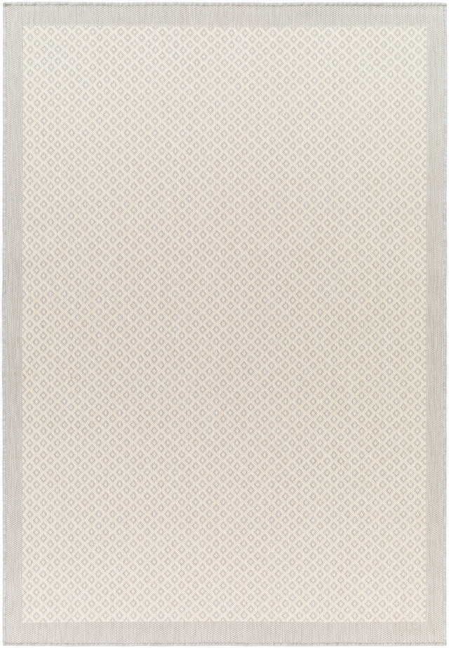 Surya Ravello Rvl-2388 Light Gray, Charcoal, Ivory, Light Beige Rug.