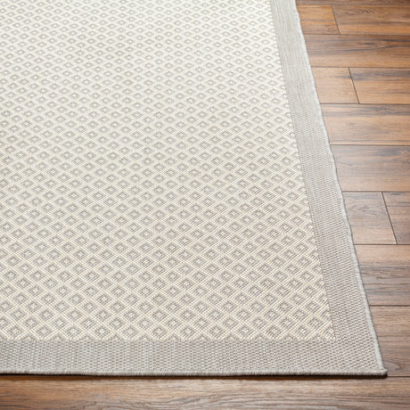 Surya Ravello Rvl-2388 Light Gray, Charcoal, Ivory, Light Beige Rug.