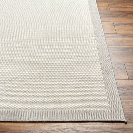 Surya Ravello Rvl-2390 Light Gray, Charcoal, Ivory, Light Beige Rug.