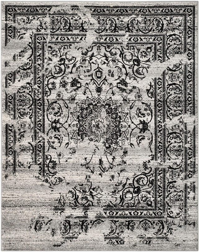 Safavieh Adirondack Adr101A Silver / Black Rugs.