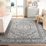 Safavieh Adirondack Adr108A Silver/Black Rug.