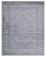 Safavieh Adirondack Adr108C Light Grey/Dark Grey Rug.