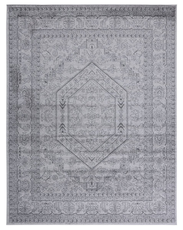 Safavieh Adirondack Adr108C Light Grey/Dark Grey Rug - Safavieh - adr108c - 6r