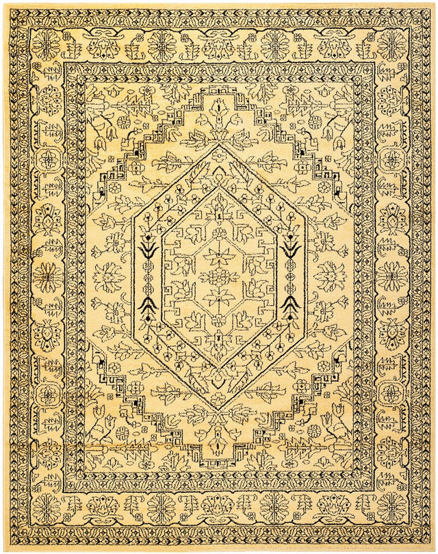 Safavieh Adirondack Adr108H Gold / Black Rugs.