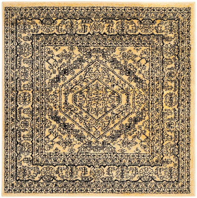 Safavieh Adirondack Adr108H Gold / Black Rugs.