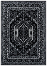 Safavieh Adirondack Adr108Z Black/Ivory Rug.