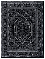 Safavieh Adirondack Adr108Z Black/Ivory Rug.