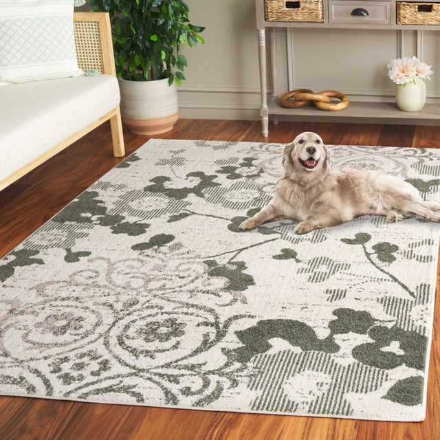 Safavieh Adirondack Adr114X Ivory/Dark Green Rug.