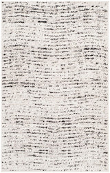 Safavieh Adirondack Adr117B Ivory / Silver Rugs.