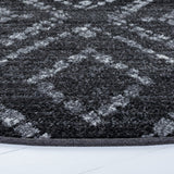 Safavieh Adirondack Adr131A Black/Ivory Rug.