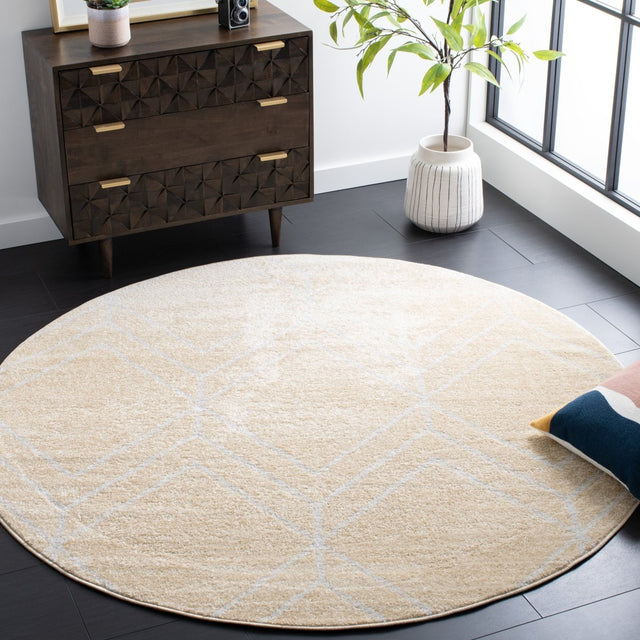 Safavieh Adirondack Adr241D Gold/Light Grey Rugs.