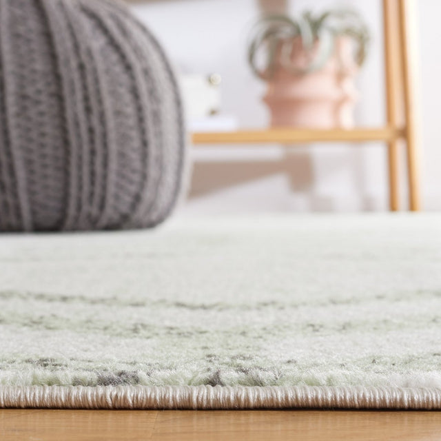 Safavieh Adirondack Adr253D Ivory/Sage Rug.