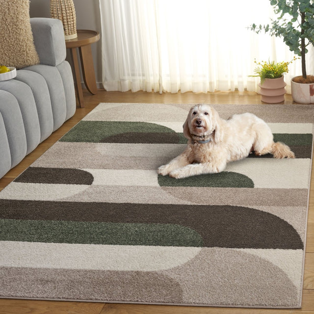 Safavieh Adirondack Adr295W Beige/Green Rug.
