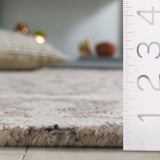 Safavieh Anatolia An401T Ivory/Brown Rug.