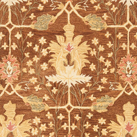 Safavieh Anatolia an540b Brown Rugs.