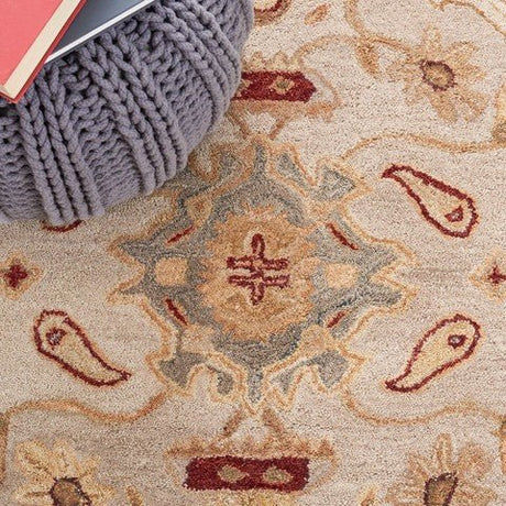 Safavieh Anatolia an543c Ivory / Gold Rugs.